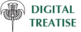 Digital Treatise logo