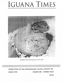 White Page with Black Text reading Iguana Times. Grayscale image of a lizard hatching from an egg.