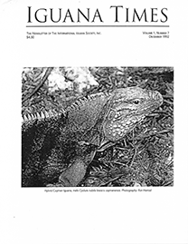 White Page with black text reading Iguana Times. Grayscale Photo depicting a Hybrid Cayman Iguana from the shoulder up.