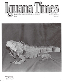 White Page with Half Tone text reading Iguana Times. Grayscale Photo depicting a Male Iguana Iguana on a dark fabric backdrop.