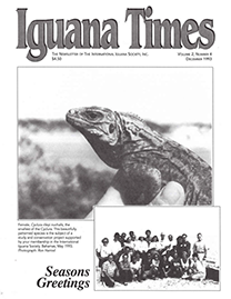 White Page with Half Tone text reading Iguana Times. Two Grayscale Photos. Top Photo depicts a Female Cyclura rileyi nuchalis being held up with a hand. Bottom Photo is a portrait of the Iguana Times Team with the words “Seasons Greetings” written next to it.