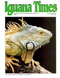 White Page with Green text reading Iguana Times. Color Photo depicting a Male Green Iguana who is described as “Very Orange”.