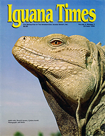 Color Photo with Green text reading Iguana Times. Photo depicts an up close profile of an adult male Ricord’s Iguana against the blue sky.