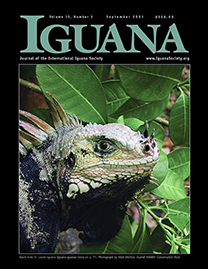 Black Page with green text reading Iguana. Color Photo depicts an adult male St. Lucian Iguana in green foliage. He has green and black scales with two pointy black spikes on his nose.