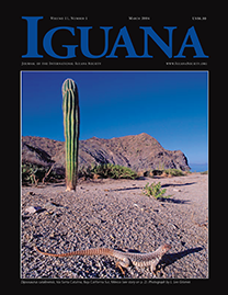 Black Page with blue text reading Iguana. Color Photo depicts a Dipsosaurus catalinensis in the desert. It blends in expertly with the red, rocky earth around it.
