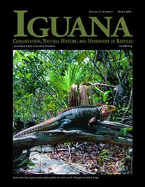 Black Page with dark green text reading Iguana. Color Photo depicts an Andros Island Rock Iguana on a fallen branch in a lush jungle. It has navy blue scales on its body with striking crimson coloring on its head and tail and spikes of the same red along its spine.