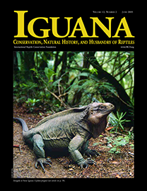 Black Page with yellow text reading Iguana. Color Photo depicts a Anegada or Stout Iguana in a forest. It is large and muscular with dark, dull brown and green scales.
