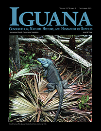 Black Page with blue text reading Iguana. Color Photo depicts a Grand Cayman Blue Iguana on fallen palm leaves. It has stunning turquoise blue scales and looks over its shoulder at the viewer.