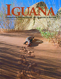 Color Photo with dark red text reading Iguana. Photo depicts a Gila Monster lizard in a red desert, leaving a trail of footprints and dragged tail behind him in the soft sand.