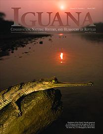 Color Photo with Dusty rose text reading Iguana. Photo depicts a Gharial on a rock in the water with the hazy pink sun sinking in the background.